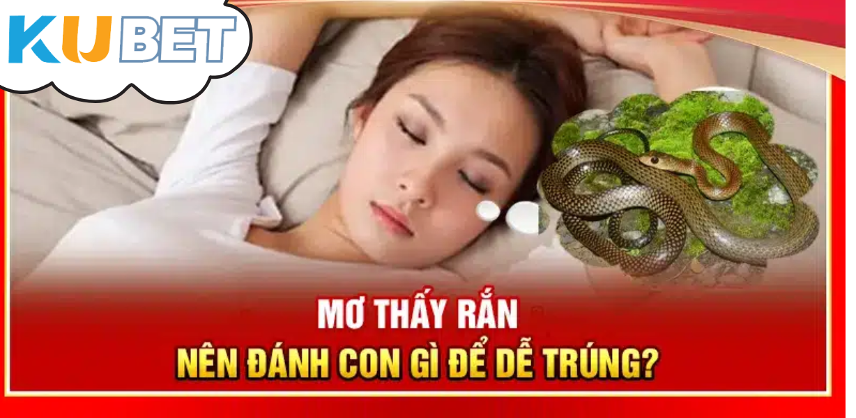 CJ5582.NET – Giải mã giấc mơ thấy rắn giúp bạn hiểu rõ ý nghĩa và tìm ra con số may mắn